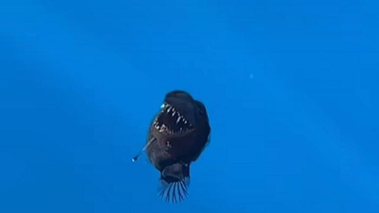 Le vote du 8 mars : une décision de surface qui cache des profondeurs inconnues