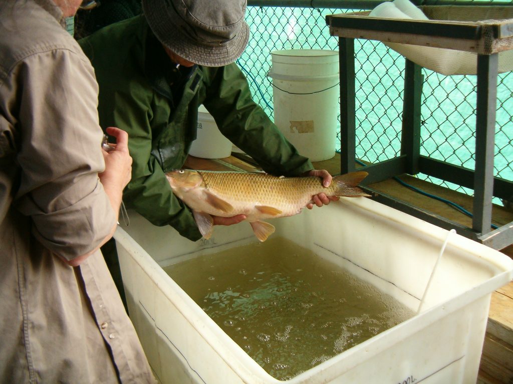 Le dernier souffle de l&rsquo;Atletico Madrid : une victoire décisive pour le groupe