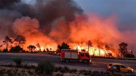 L&rsquo;Algérie en proie à une catastrophe forestière : 12 morts et une réponse nationale urgente